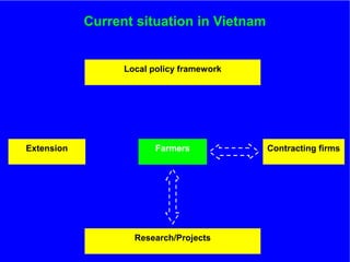 The role of Contract Farming in the Development of a Competitive and Sustainable Cassava Sub-sector in Vietnam