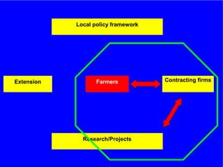 The role of Contract Farming in the Development of a Competitive and Sustainable Cassava Sub-sector in Vietnam