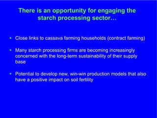 The role of Contract Farming in the Development of a Competitive and Sustainable Cassava Sub-sector in Vietnam