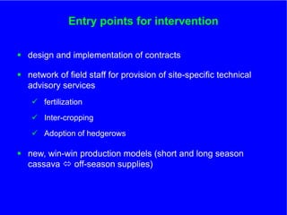 The role of Contract Farming in the Development of a Competitive and Sustainable Cassava Sub-sector in Vietnam