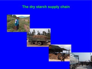 The role of Contract Farming in the Development of a Competitive and Sustainable Cassava Sub-sector in Vietnam