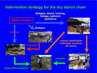 The role of Contract Farming in the Development of a Competitive and Sustainable Cassava Sub-sector in Vietnam