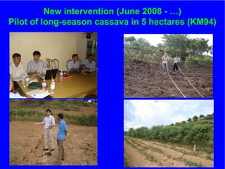 The role of Contract Farming in the Development of a Competitive and Sustainable Cassava Sub-sector in Vietnam