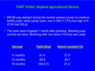 The role of Contract Farming in the Development of a Competitive and Sustainable Cassava Sub-sector in Vietnam