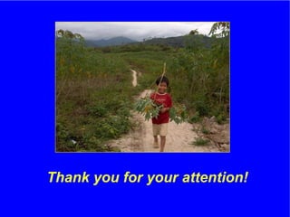 The role of Contract Farming in the Development of a Competitive and Sustainable Cassava Sub-sector in Vietnam