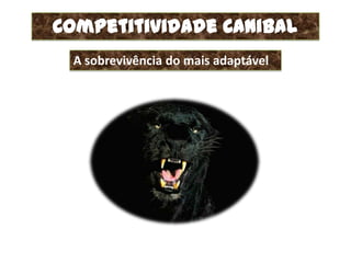 Competitividade Canibal
 A sobrevivência do mais adaptável
 