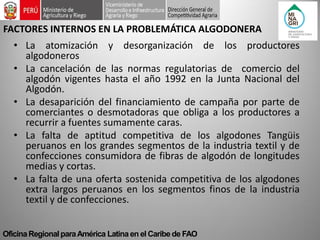 Oficina Regional para América Latina en el Caribe de FAO 
•La atomización y desorganización de los productores algodoneros 
•La cancelación de las normas regulatorias de comercio del algodón vigentes hasta el año 1992 en la Junta Nacional del Algodón. 
•La desaparición del financiamiento de campaña por parte de comerciantes o desmotadoras que obliga a los productores a recurrir a fuentes sumamente caras. 
•La falta de aptitud competitiva de los algodones Tangüis peruanos en los grandes segmentos de la industria textil y de confecciones consumidora de fibras de algodón de longitudes medias y cortas. 
•La falta de una oferta sostenida competitiva de los algodones extra largos peruanos en los segmentos finos de la industria textil y de confecciones. 
FACTORES INTERNOS EN LA PROBLEMÁTICA ALGODONERA  