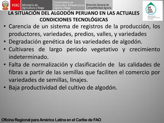 Oficina Regional para América Latina en el Caribe de FAO 
LA SITUACIÓN DEL ALGODÓN PERUANO EN LAS ACTUALES CONDICIONES TECNOLÓGICAS 
•Carencia de un sistema de registros de la producción, los productores, variedades, predios, valles, y variedades 
•Degradación genética de las variedades de algodón. 
•Cultivares de largo periodo vegetativo y crecimiento indeterminado. 
•Falta de normalización y clasificación de las calidades de fibras a partir de las semillas que faciliten el comercio por variedades de semillas, linajes. 
•Baja productividad del cultivo de algodón.  