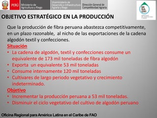 Oficina Regional para América Latina en el Caribe de FAO 
OBJETIVO ESTRATÉGICO EN LA PRODUCCIÓN 
Que la producción de fibra peruana abastezca competitivamente, en un plazo razonable, al nicho de las exportaciones de la cadena algodón textil y confecciones. Situación 
•La cadena de algodón, textil y confecciones consume un equivalente de 173 mil toneladas de fibra algodón 
•Exporta un equivalente 53 mil toneladas 
•Consume internamente 120 mil toneladas 
•Cultivares de largo periodo vegetativo y crecimiento indeterminado. Objetivo 
•Incrementar la producción peruana a 53 mil toneladas. 
•Disminuir el ciclo vegetativo del cultivo de algodón peruano  
