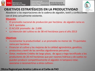 Oficina Regional para América Latina en el Caribe de FAO 
OBJETIVOS ESTRATÉGICOS EN LA PRODUCTIVIDAD 
Abastecer a las exportaciones de la cadena de algodón, textil y confecciones con el área actualmente existente. Situación 
•El promedio nacional de producción por hectárea de algodón rama es 54.9 quintales 
•El ACUDE promedio de 2.698 . 
•La intención del cultivo es de 38 mil hectáreas para el año 2013 Objetivos 
•incrementar la productividad a un promedio no menor de 73 quintales rama por hectárea 
•Financiar el cultivo y las mejoras de la calidad agronómica, genética, productiva y textil de las semillas algodoneras peruanas. 
•Dotar, mediante Crédito de largo plazo, de agua y riego tecnificado a los productores de 20 mil hectáreas que por razones hídricas y de suelos no pueden producir competitivamente el algodón ni tampoco rotar, asociarse o reconvertirse a otros cultivos .  
