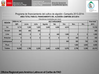 Oficina Regional para América Latina en el Caribe de FAO JunioJulioAgostoSet.Oct.Nov.Dic. 9,7101,3601,8552,4054,0904,01013,7208004004008004400004401,060001,5000000003000300Lambayeque05005007501,750Piura01,9002,6004,50010,9501,7602,2552,4054,5305,5702,7003,35022,570AREA TOTAL PARA EL FINANCIAMIENTO DEL ALGODÓN -CAMPAÑA 2013-2014- Programa de financiamiento del cultivo de algodón -Campaña 2013-2014- Área total 2013ÁREA AL 30 SEP. HECTAREAS/MES(Hectáreas instaladas por mes) LimaArequipaTotales REGIÓNAncashIca  