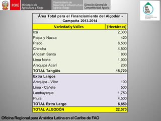 Oficina Regional para América Latina en el Caribe de FAO Variedad y Valles (Hectáreas) Ica2,300Palpa y Nazca420Pisco6,500Chincha4,500Ancash Santa800Lima Norte1,000Arequipa Acarí200TOTAL Tangüis15,720Extra Largos Arequipa - Vítor100Lima - Cañete500Lambayeque1,750Piura4,500TOTAL Extra Largo6,850TOTAL ALGODÓN22,570 Área Total para el Financiamiento del Algodón - Campaña 2013-2014  