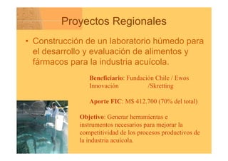 Competitividad Y Crecimiento Pasos Que Chile Debe Dar