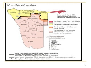 Competitiveness of smallholder livestock: The case of Namibia
