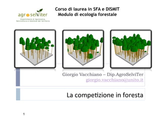 Corso di laurea in SFA e DISMIT
Modulo di ecologia forestale
La#compe)zione#in#foresta#
Giorgio Vacchiano – Dip.AgroSelviTer
giorgio.vacchiano@unito.it
1
 