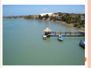 Competência em matéria ambiental