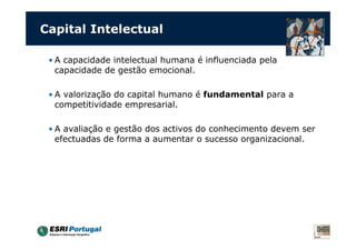 Capital Intelectual
• A capacidade intelectual humana é influenciada pela
capacidade de gestão emocional.
• A valorização do capital humano é fundamental para a
competitividade empresarial.
• A avaliação e gestão dos activos do conhecimento devem ser
efectuadas de forma a aumentar o sucesso organizacional.
 
