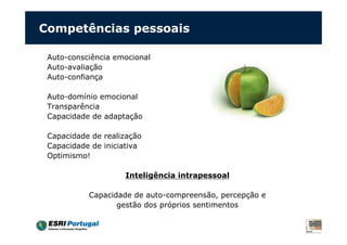 Competências pessoais
Auto-consciência emocional
Auto-avaliação
Auto-confiança
Auto-domínio emocional
Transparência
Capacidade de adaptação
Capacidade de realização
Capacidade de iniciativa
Optimismo!
Inteligência intrapessoal
Capacidade de auto-compreensão, percepção e
gestão dos próprios sentimentos
 