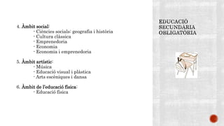 4. Àmbit social:
- Ciències socials: geografia i història
- Cultura clàssica
- Emprenedoria
- Economia
- Economia i emprenedoria
5. Àmbit artístic:
- Música
- Educació visual i plàstica
- Arts escèniques i dansa
6. Àmbit de l’educació física:
- Educació física
 
