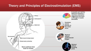 Theory and Principles of Electrostimulation (EMS)
Nerve pathway from
brain to muscle
A muscle can’t tell the
difference between a
voluntary contraction
triggered by the brain
or through a muscle
stimulator.
Excitation
occurs
directly on
the motor
nerve
Workout
without
cardiovascular
fatigue
Workout
without
stressing
joints
 