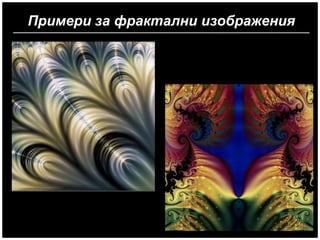 Примери за фрактални изображения
 