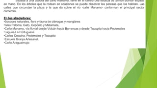 Situada a una cuadra del caño manamo, tiene en el centro una estatua de Simón Bolívar espada
en mano. En los árboles que la rodean en ocasiones se puede observar las perezas que los habitan. Las
calles que circundan la plaza y la que da sobre el río -calle Mánamo- conforman el principal sector
comercial.
En los alrededores:En los alrededores:
•Bosques naturales, flora y fauna de ciénagas y manglares
•Islas Paloma, Gato, Coporito y Matamata,
•Caño Manamo, vía fluvial desde Volcán hacia Barrancas y desde Tucupita hacia Pedernales
•Laguna La Portuguesa
•Caños Cocuina, Pedernales y Tucupita
•Escuela Granja Artesanal.
•Caño Araguaimujo:
 