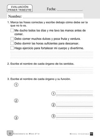 EVALUACIÓN
PRIMER TRIMESTRE                                Fecha:
Nombre:
1. Marca las frases correctas y escribe debajo cómo debe ser la
   que no lo es.
       Me ducho todos los días y me lavo las manos antes de
       comer.
       Debo comer muchos dulces y poca fruta y verdura.
       Debo dormir las horas suficientes para descansar.
       Hago ejercicio para fortalecer mi cuerpo y divertirme.




2. Escribe el nombre de cada órgano de los sentidos.




3. Escribe el nombre de cada órgano y su función.

        1

                                                   1

        2
                                                   2


                                                   3
        3




 22   C ONOCIMIENT O   DE L   M EDIO 2.º   EP            M ATERIAL   FOTOCOPIABLE
 