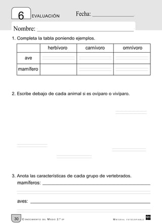 6         EVALUACIÓN                         Fecha:

Nombre:
1. Completa la tabla poniendo ejemplos.

                              herbívoro            carnívoro          omnívoro

        ave

   mamífero



2. Escribe debajo de cada animal si es ovíparo o vivíparo.




3. Anota las características de cada grupo de vertebrados.
  mamíferos:


  aves:


 30   C ONOCIMIENT O   DE L   M EDIO 2.º   EP                  M ATERIAL   FOTOCOPIABLE
 