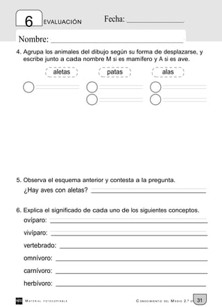 6           EVALUACIÓN      Fecha:

Nombre:
4. Agrupa los animales del dibujo según su forma de desplazarse, y
   escribe junto a cada nombre M si es mamífero y A si es ave.

                   aletas       patas                       alas




5. Observa el esquema anterior y contesta a la pregunta.
  ¿Hay aves con aletas?

6. Explica el significado de cada uno de los siguientes conceptos.
  ovíparo:
  vivíparo:
  vertebrado:
  omnívoro:
  carnívoro:
  herbívoro:

   M ATERIAL   FOTOCOPIABLE                C ONOCIMIENT O   DEL   M EDIO 2.º   EP   31
 