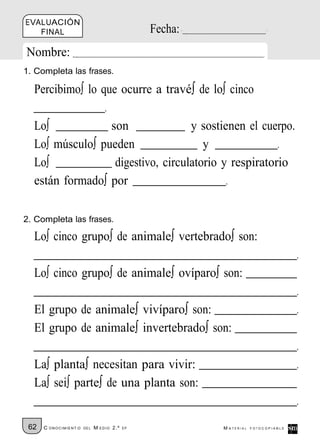 EVALUACIÓN
   FINAL                                        Fecha:
Nombre:
1. Completa las frases.

  Percibimo∫ lo que ocurre a travé∫ de lo∫ cinco
                 .
  Lo∫              son               y sostienen el cuerpo.
  Lo∫ músculo∫ pueden                   y               .
  Lo∫               digestivo, circulatorio y respiratorio
  están formado∫ por                         .

2. Completa las frases.

  Lo∫ cinco grupo∫ de animale∫ vertebrado∫ son:
                                                                                    .
  Lo∫ cinco grupo∫ de animale∫ ovíparo∫ son:
                                                                                    .
  El grupo de animale∫ vivíparo∫ son:                                               .
  El grupo de animale∫ invertebrado∫ son:
                                                                                    .
  La∫ planta∫ necesitan para vivir:                                                 .
  La∫ sei∫ parte∫ de una planta son:
                                                                                    .
 62   C ONOCIMIENT O   DE L   M EDIO 2.º   EP            M ATERIAL   FOTOCOPIABLE
 