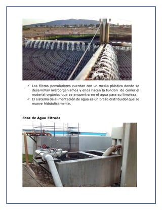  Los filtros percoladores cuentan con un medio plástico donde se
desarrollan microorganismos y ellos hacen la función de comer el
material orgánico que se encuentra en el agua para su limpieza.
 El sistema de alimentación de agua es un brazo distribuidor que se
mueve hidráulicamente.
Fosa de Agua Filtrada
 