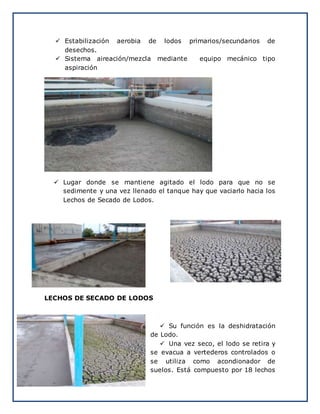  Estabilización aerobia de lodos primarios/secundarios de
desechos.
 Sistema aireación/mezcla mediante equipo mecánico tipo
aspiración
 Lugar donde se mantiene agitado el lodo para que no se
sedimente y una vez llenado el tanque hay que vaciarlo hacia los
Lechos de Secado de Lodos.
LECHOS DE SECADO DE LODOS
 Su función es la deshidratación
de Lodo.
 Una vez seco, el lodo se retira y
se evacua a vertederos controlados o
se utiliza como acondionador de
suelos. Está compuesto por 18 lechos
 