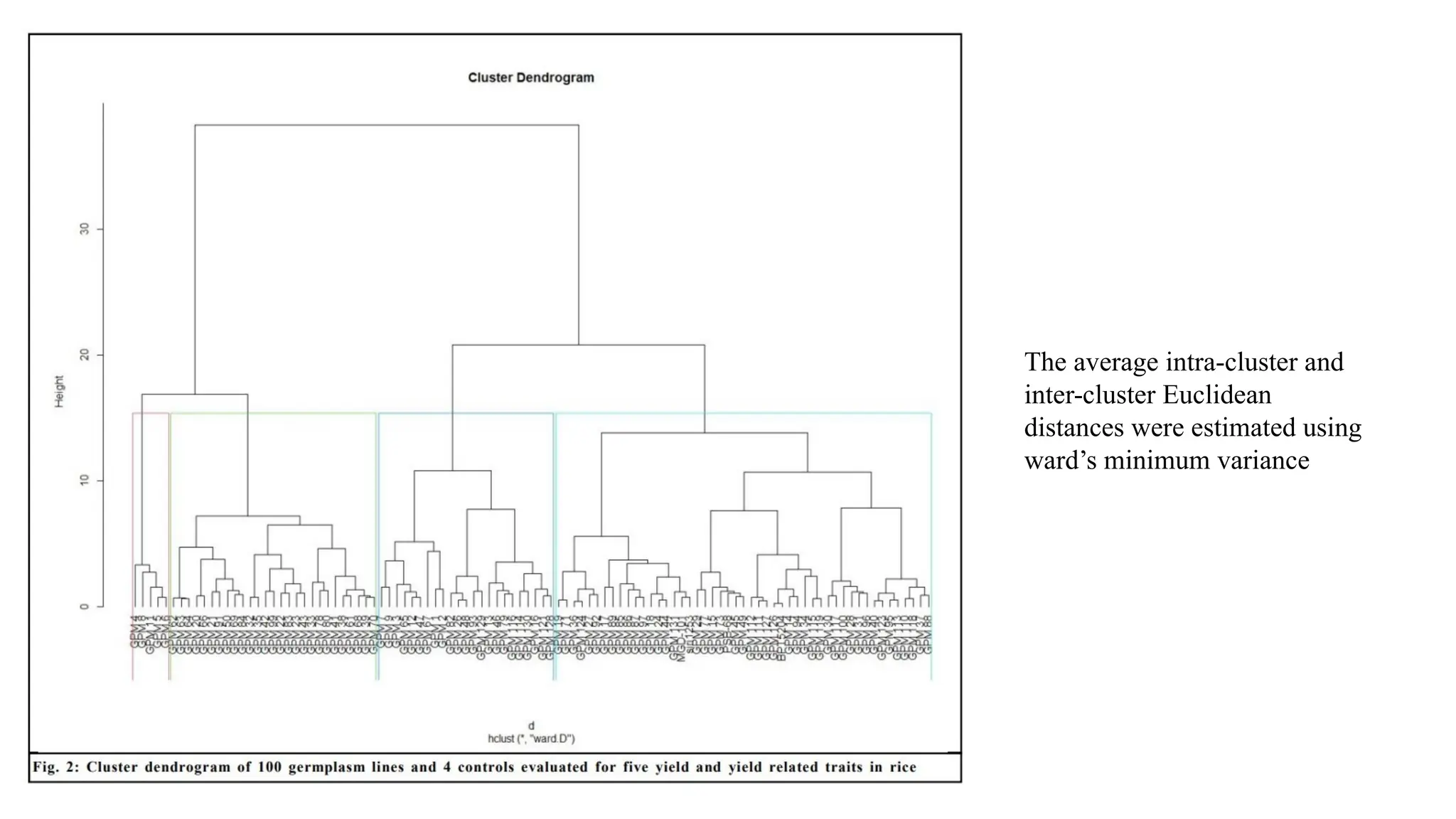 The average intra-cluster and
inter-cluster Euclidean
distances were estimated using
ward’s minimum variance
 