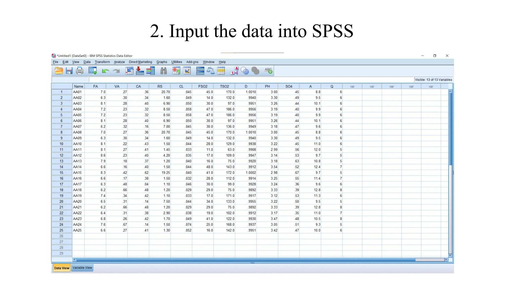 2. Input the data into SPSS
 