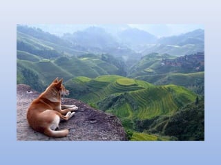 Compilation de photos