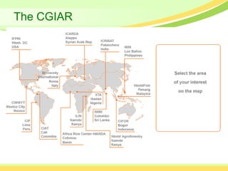 The CGIAR
 