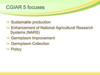 CGIAR 5 focuses

 Sustainable production
 Enhancement of National Agricultural Research
 Systems (NARS)
 Germplasm Improvement
 Germplasm Collection
 Policy
 