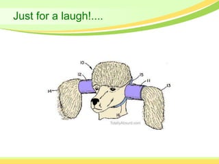 Just for a laugh!....
 