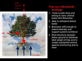 Tree as a Structural
Analogy
1. Trunk is both thick and
strong to carry vertical
loads from Branches
2. Able to withstand lateral
loads
3. Branches stiff enough to
extend laterally and
support system-cantilever
4. Root structure spreads-
below ground to distribute
total weight of tree and to
create substantial anchor
against overturning due to
wind
Rain
Gravity
Snow
Wind
Cantilever
Foundation
 