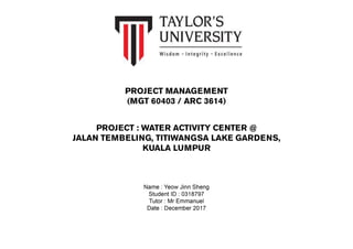 individual project management
