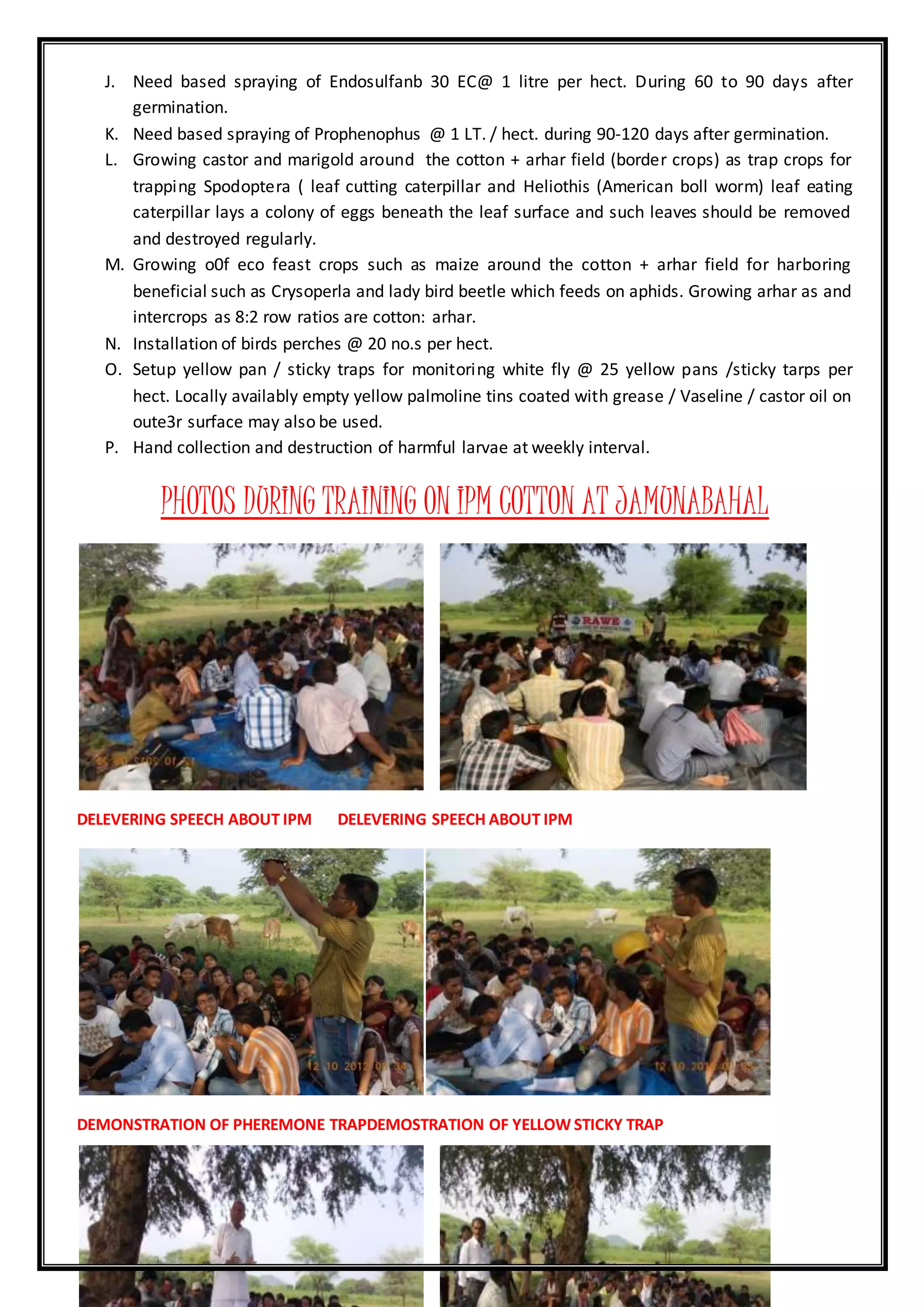 J. Need based spraying of Endosulfanb 30 EC@ 1 litre per hect. During 60 to 90 days after
germination.
K. Need based spraying of Prophenophus @ 1 LT. / hect. during 90-120 days after germination.
L. Growing castor and marigold around the cotton + arhar field (border crops) as trap crops for
trapping Spodoptera ( leaf cutting caterpillar and Heliothis (American boll worm) leaf eating
caterpillar lays a colony of eggs beneath the leaf surface and such leaves should be removed
and destroyed regularly.
M. Growing o0f eco feast crops such as maize around the cotton + arhar field for harboring
beneficial such as Crysoperla and lady bird beetle which feeds on aphids. Growing arhar as and
intercrops as 8:2 row ratios are cotton: arhar.
N. Installation of birds perches @ 20 no.s per hect.
O. Setup yellow pan / sticky traps for monitoring white fly @ 25 yellow pans /sticky tarps per
hect. Locally availably empty yellow palmoline tins coated with grease / Vaseline / castor oil on
oute3r surface may also be used.
P. Hand collection and destruction of harmful larvae at weekly interval.
PHOTOS DURING TRAINING ON IPM COTTON AT JAMUNABAHAL
DELEVERING SPEECH ABOUT IPM DELEVERING SPEECH ABOUT IPM
DEMONSTRATION OF PHEREMONE TRAPDEMOSTRATION OF YELLOW STICKY TRAP
 