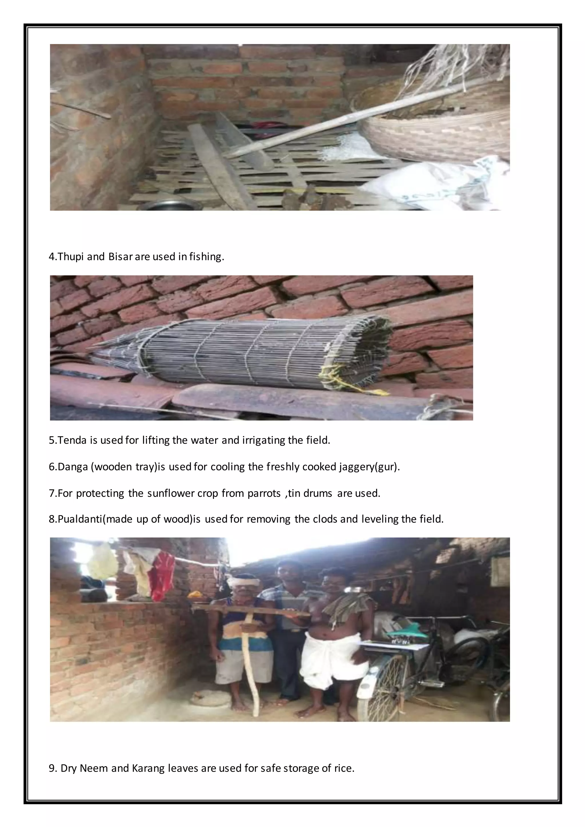4.Thupi and Bisar are used in fishing.
5.Tenda is used for lifting the water and irrigating the field.
6.Danga (wooden tray)is used for cooling the freshly cooked jaggery(gur).
7.For protecting the sunflower crop from parrots ,tin drums are used.
8.Pualdanti(made up of wood)is used for removing the clods and leveling the field.
9. Dry Neem and Karang leaves are used for safe storage of rice.
 