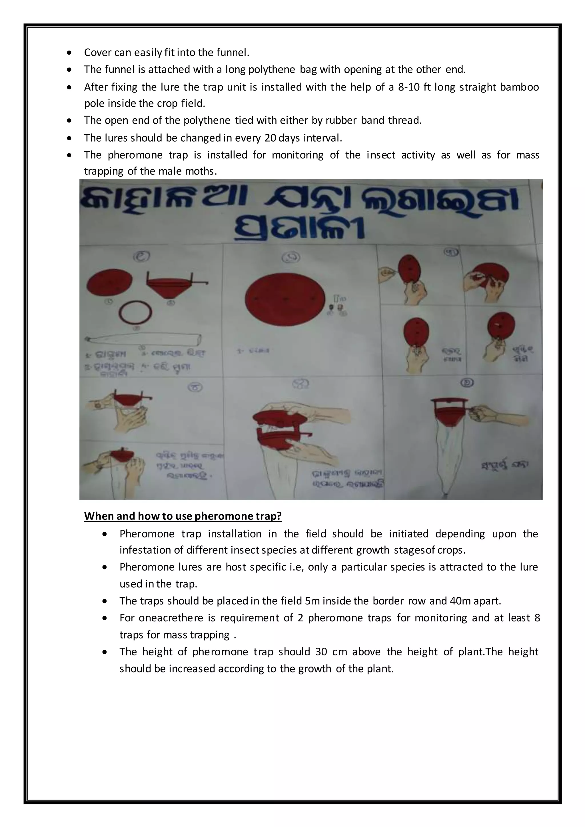  Cover can easily fit into the funnel.
 The funnel is attached with a long polythene bag with opening at the other end.
 After fixing the lure the trap unit is installed with the help of a 8-10 ft long straight bamboo
pole inside the crop field.
 The open end of the polythene tied with either by rubber band thread.
 The lures should be changed in every 20 days interval.
 The pheromone trap is installed for monitoring of the insect activity as well as for mass
trapping of the male moths.
When and how to use pheromone trap?
 Pheromone trap installation in the field should be initiated depending upon the
infestation of different insect species at different growth stagesof crops.
 Pheromone lures are host specific i.e, only a particular species is attracted to the lure
used in the trap.
 The traps should be placed in the field 5m inside the border row and 40m apart.
 For oneacrethere is requirement of 2 pheromone traps for monitoring and at least 8
traps for mass trapping .
 The height of pheromone trap should 30 cm above the height of plant.The height
should be increased according to the growth of the plant.
 