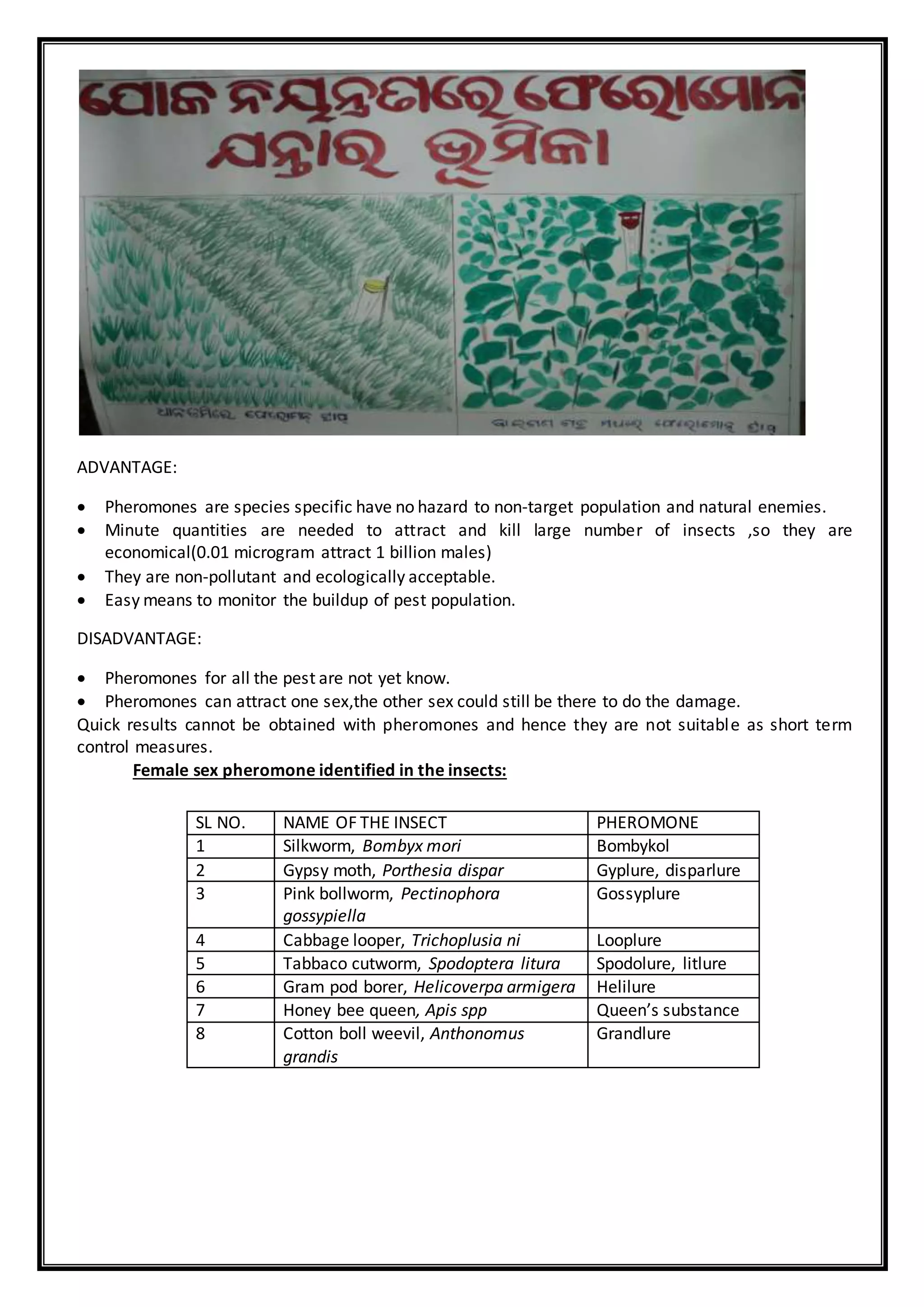 ADVANTAGE:
 Pheromones are species specific have no hazard to non-target population and natural enemies.
 Minute quantities are needed to attract and kill large number of insects ,so they are
economical(0.01 microgram attract 1 billion males)
 They are non-pollutant and ecologically acceptable.
 Easy means to monitor the buildup of pest population.
DISADVANTAGE:
 Pheromones for all the pest are not yet know.
 Pheromones can attract one sex,the other sex could still be there to do the damage.
Quick results cannot be obtained with pheromones and hence they are not suitable as short term
control measures.
Female sex pheromone identified in the insects:
SL NO. NAME OF THE INSECT PHEROMONE
1 Silkworm, Bombyx mori Bombykol
2 Gypsy moth, Porthesia dispar Gyplure, disparlure
3 Pink bollworm, Pectinophora
gossypiella
Gossyplure
4 Cabbage looper, Trichoplusia ni Looplure
5 Tabbaco cutworm, Spodoptera litura Spodolure, litlure
6 Gram pod borer, Helicoverpa armigera Helilure
7 Honey bee queen, Apis spp Queen’s substance
8 Cotton boll weevil, Anthonomus
grandis
Grandlure
 