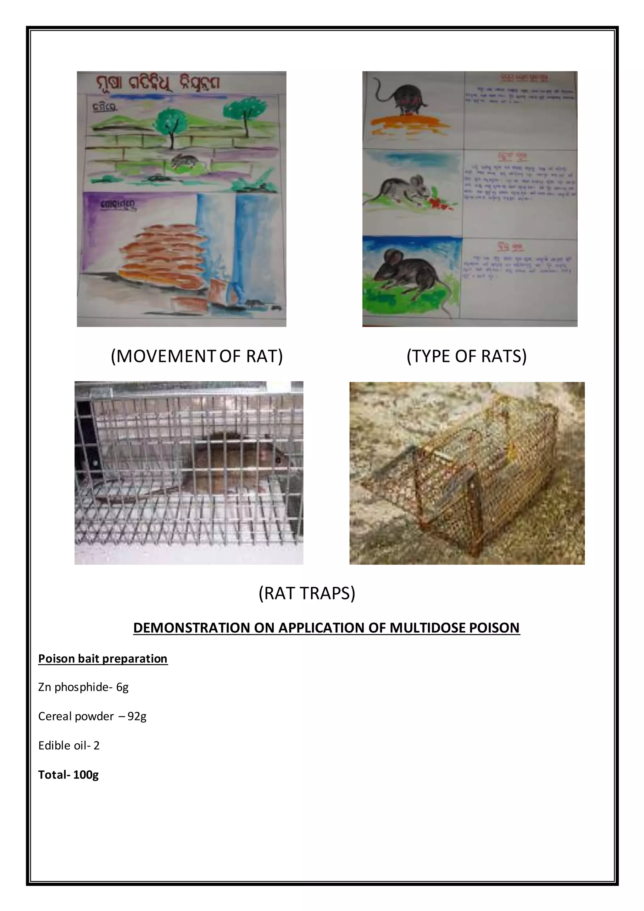 (MOVEMENTOF RAT) (TYPE OF RATS)
(RAT TRAPS)
DEMONSTRATION ON APPLICATION OF MULTIDOSE POISON
Poison bait preparation
Zn phosphide- 6g
Cereal powder – 92g
Edible oil- 2
Total- 100g
 