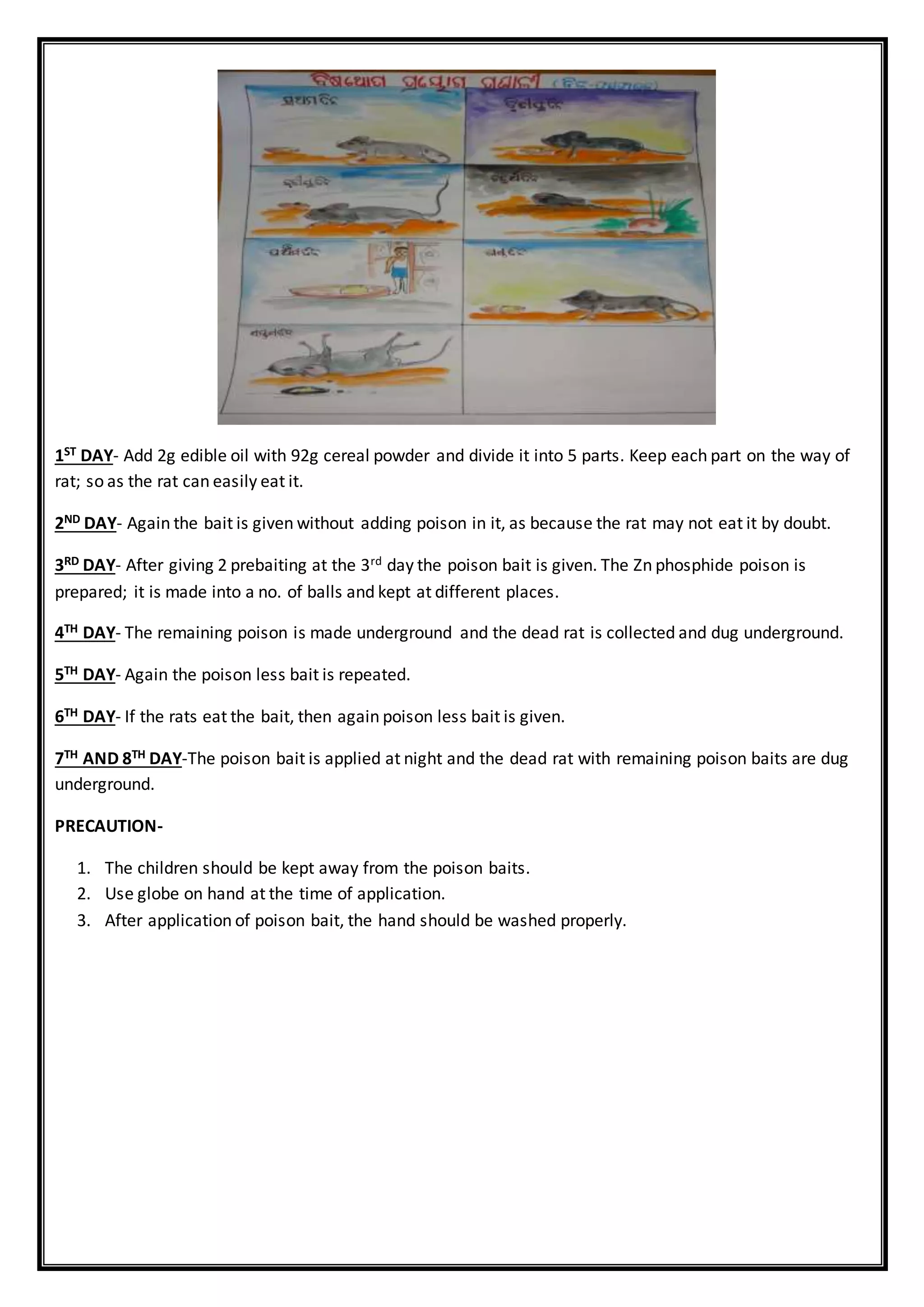 1ST DAY- Add 2g edible oil with 92g cereal powder and divide it into 5 parts. Keep each part on the way of
rat; so as the rat can easily eat it.
2ND DAY- Again the bait is given without adding poison in it, as because the rat may not eat it by doubt.
3RD DAY- After giving 2 prebaiting at the 3rd day the poison bait is given. The Zn phosphide poison is
prepared; it is made into a no. of balls and kept at different places.
4TH DAY- The remaining poison is made underground and the dead rat is collected and dug underground.
5TH DAY- Again the poison less bait is repeated.
6TH DAY- If the rats eat the bait, then again poison less bait is given.
7TH AND 8TH DAY-The poison bait is applied at night and the dead rat with remaining poison baits are dug
underground.
PRECAUTION-
1. The children should be kept away from the poison baits.
2. Use globe on hand at the time of application.
3. After application of poison bait, the hand should be washed properly.
 