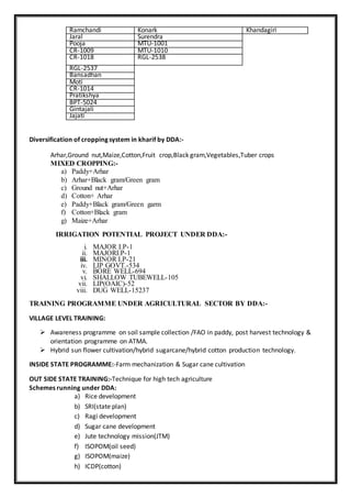Ramchandi Konark Khandagiri
Jaral Surendra
Pooja MTU-1001
CR-1009 MTU-1010
CR-1018 RGL-2538
RGL-2537
Bansadhan
Moti
CR-1014
Pratikshya
BPT-5024
Gintajali
Jajati
Diversification of cropping system in kharif by DDA:-
Arhar,Ground nut,Maize,Cotton,Fruit crop,Black gram,Vegetables,Tuber crops
MIXED CROPPING:-
a) Paddy+Arhar
b) Arhar+Black gram/Green gram
c) Ground nut+Arhar
d) Cotton+ Arhar
e) Paddy+Black gram/Green garm
f) Cotton+Black gram
g) Maize+Arhar
IRRIGATION POTENTIAL PROJECT UNDER DDA:-
i. MAJOR I.P-1
ii. MAJORI.P-1
iii. MINOR I.P-21
iv. LIP GOVT.-534
v. BORE WELL-694
vi. SHALLOW TUBEWELL-105
vii. LIP(OAIC)-52
viii. DUG WELL-15237
TRAINING PROGRAMME UNDER AGRICULTURAL SECTOR BY DDA:-
VILLAGE LEVEL TRAINING:
 Awareness programme on soil sample collection /FAO in paddy, post harvest technology &
orientation programme on ATMA.
 Hybrid sun flower cultivation/hybrid sugarcane/hybrid cotton production technology.
INSIDE STATE PROGRAMME:-Farm mechanization & Sugar cane cultivation
OUT SIDE STATE TRAINING:-Technique for high tech agriculture
Schemes running under DDA:
a) Rice development
b) SRI(state plan)
c) Ragi development
d) Sugar cane development
e) Jute technology mission(JTM)
f) ISOPOM(oil seed)
g) ISOPOM(maize)
h) ICDP(cotton)
 
