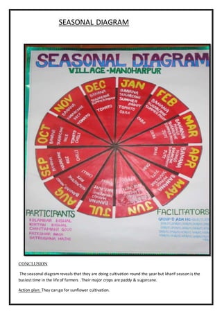 SEASONAL DIAGRAM
CONCLUSION
The seasonal diagramreveals that they are doing cultivation round the year but kharif season is the
busiest time in the life of farmers .Their major crops are paddy & sugarcane.
Action plan: They can go for sunflower cultivation.
 