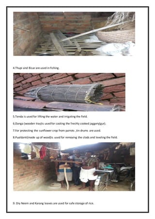 4.Thupi and Bisar are used in fishing.
5.Tenda is used for lifting the water and irrigating the field.
6.Danga (wooden tray)is used for cooling the freshly cooked jaggery(gur).
7.For protecting the sunflower crop from parrots ,tin drums are used.
8.Pualdanti(made up of wood)is used for removing the clods and leveling the field.
9. Dry Neem and Karang leaves are used for safe storage of rice.
 