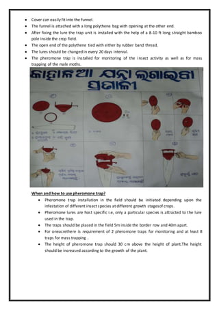  Cover can easily fit into the funnel.
 The funnel is attached with a long polythene bag with opening at the other end.
 After fixing the lure the trap unit is installed with the help of a 8-10 ft long straight bamboo
pole inside the crop field.
 The open end of the polythene tied with either by rubber band thread.
 The lures should be changed in every 20 days interval.
 The pheromone trap is installed for monitoring of the insect activity as well as for mass
trapping of the male moths.
When and how to use pheromone trap?
 Pheromone trap installation in the field should be initiated depending upon the
infestation of different insect species at different growth stagesof crops.
 Pheromone lures are host specific i.e, only a particular species is attracted to the lure
used in the trap.
 The traps should be placed in the field 5m inside the border row and 40m apart.
 For oneacrethere is requirement of 2 pheromone traps for monitoring and at least 8
traps for mass trapping .
 The height of pheromone trap should 30 cm above the height of plant.The height
should be increased according to the growth of the plant.
 